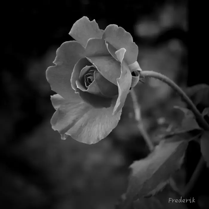 IMG_20250818_201605
